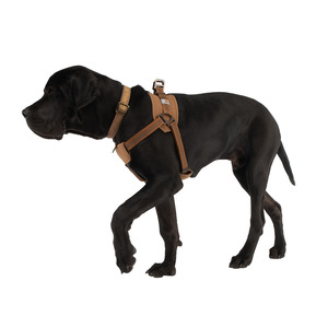 All: Carhartt DOG TRAINING Harness