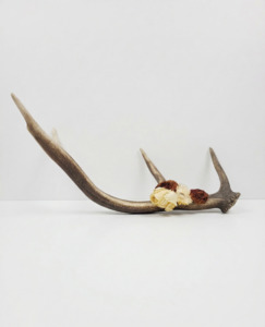 Wall Decor: Antler Floral