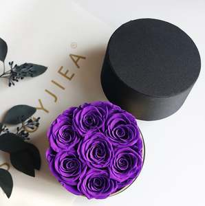 Rose Reverie(small)
