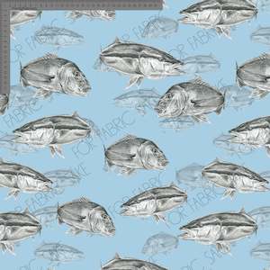 Flossiphy: Snapper & Kingi Blue- Custom Pre Order