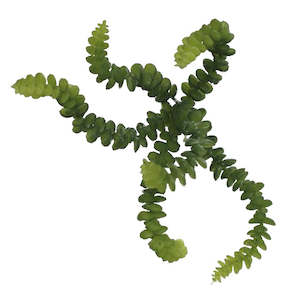 Artificial Plants: Artificial Plant Baby's Necklace Succulent