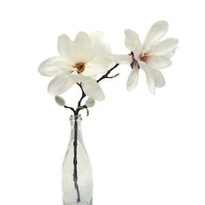 Artificial Plants: Artificial Plant Apollo Magnolia Spray