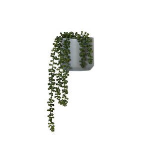 Artificial Plant String Of Pearls Small