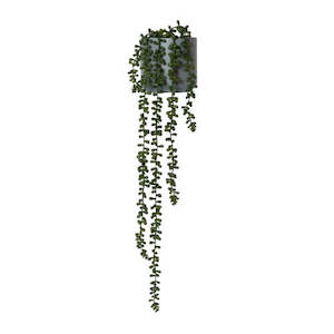 Artificial Plant String Of Pearls Large