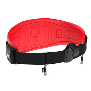 Products: Wing Belt 3.0