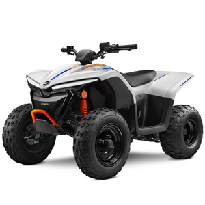 Electrics Atv Youth Off Rd Four Wheeler: CFMOTO EV110 Youth Electric ATV Quad
