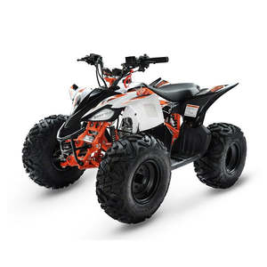 Off Road Bikes: KAYO Storm 110 Youth ATV Quad