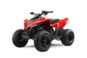 Whats Hot 1: CFMOTO CForce 110SE Youth ATV Quad
