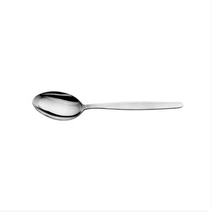 Trenton 100 Series Teaspoon (Dozen)