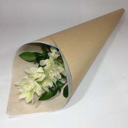 Flowers: Single Orchid