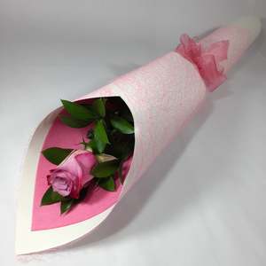 Single Flower Gifts Wellington: Single Pink Rose