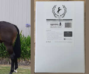 Horse Show Colour Mane and Tail Dye Kit