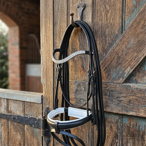 Bridles: Rio Snaffle Bridle| Black