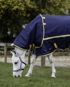 Sale: Northampton Neck Rug