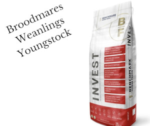 Horse Feed: Benchmark Invest 20kg