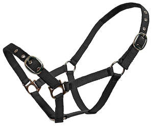 Halters Leads: Blue Tag Webbing Halter