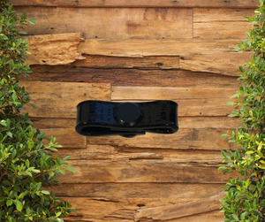 Miniature Horse: Petite Equine Show Chain Keeper For Snake Chain