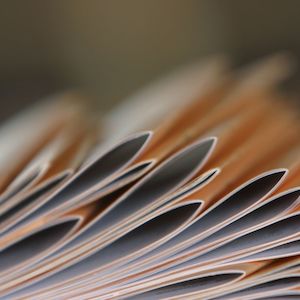 Booklet Making, Folding & Cutting