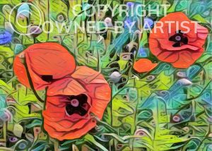 Posters Prints: Poppy