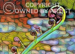 Posters Prints: Unfurling