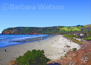The Long View from Sumner