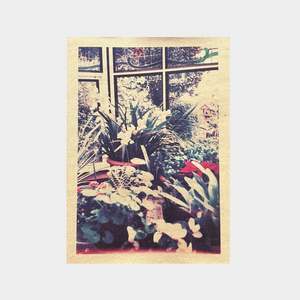 Under 100: Urban Gardener by Lydia Hannah Thomas