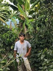 Freshly Roasted Coffee: Washed Anaerobic Castillo by Leonid Ramirez