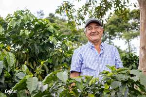 Colombia Blackberry Castillo
