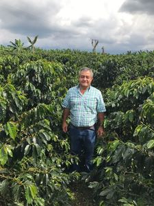 Colombia Natural Papayo