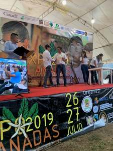 Coffee: Planadas Organic