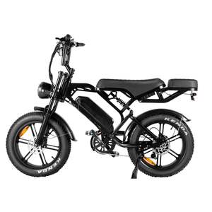 Fattybike (Fat-E-Bike) Electric Bike