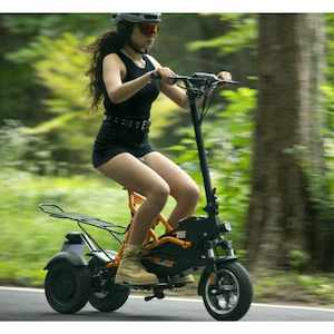 All Electric Scooters: Freed Pro-Urban Trike