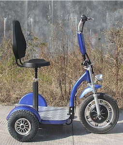 All Electric Scooters: Zappy E trike with Golf caddy