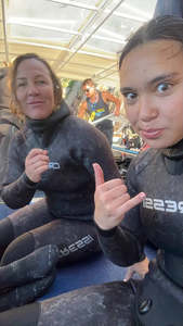 SSI Freedive Level 3 — Bay of Islands