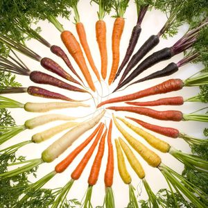 Products: Men's VEGETARIAN Fat Burning Meal Plan Add-Ons - Fat Burning Ninjas