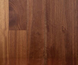 Solid Timber Flooring: Solid Timber, Bluegum