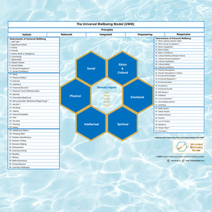 Products: UNIVERSAL WELLBEING MODEL (UWM) Full Version - (Digital Download) - FREEDOM WELLBEING INSTITUTE