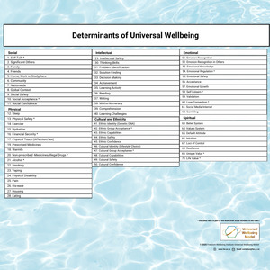 Products: Universal Wellbeing Model Variables Poster - Holistic Wellness Framework - FREEDOM WELLBEING INSTITUTE