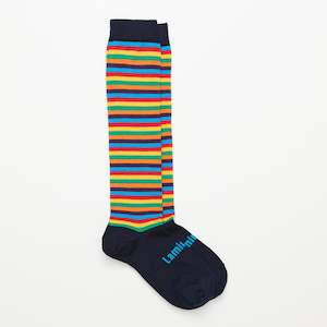 Socks Undies: Jester Merino Socks (NB - Adult)