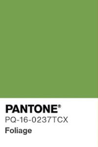 Bottoms: Foliage Green Shorts (2-14 years)