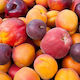 Seasonal Mixed Fruit
