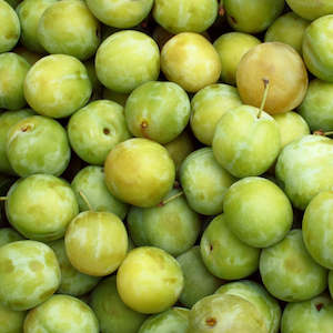 Fresh Fruit: Seasonal Greengages