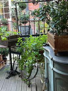 New Shipment: Shop Gorgeousness Garden ~ 1