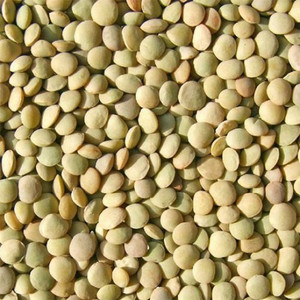 Masoore Yellow Lentils – 1Kg