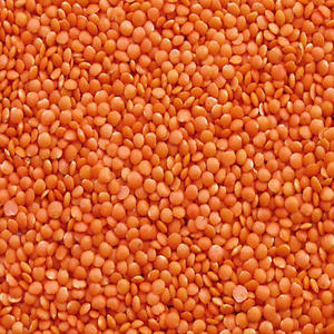 Products: Masoore Dal Red Lentils – 1Kg