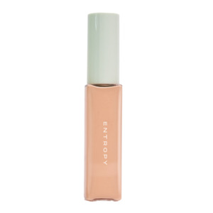 Entropy: [ENTROPY] ORGANZA FIT SPATULA FOUNDATION #22.8
