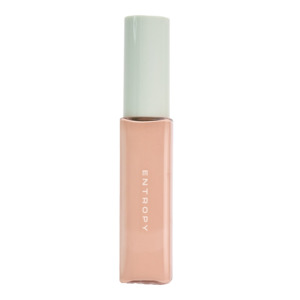 [ENTROPY] ORGANZA FIT SPATULA FOUNDATION #19.8