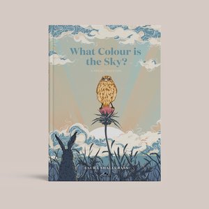 What Colour is the Sky - Laura Shallcrass