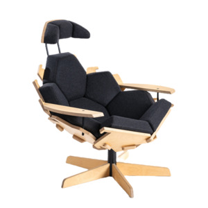 Products: FL1 Armchair Frontal Lobe