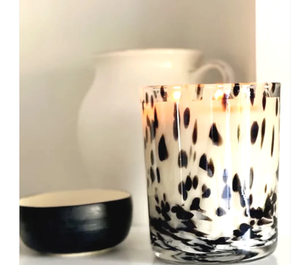 Amanda Alexander – Dalmatian – Black Oud – XL